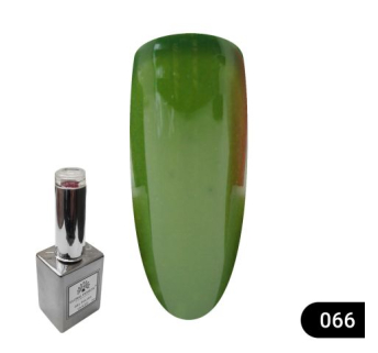 Гель лак Global Fashion 15 мл 066