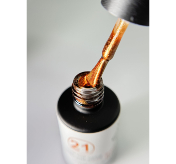 Гель лак Котяче око 26D Bee Nails 8 мл, 21
