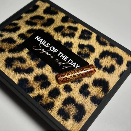 NAILSOFTHEDAY Wild Safari Leopard, silicone form, 12pcs/packet — силіконові молди для верхніх форм/леопард (Type 18),12 шт в брендованому пакеті.