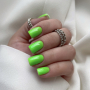 NAILSOFTHEDAY Gel polish Lime особливий неоново-салатовий гель-лак, що перекривається в один шар, 10 мл