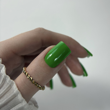 NAILSOFTHEDAY Lets special Green особливий зелений гель лак, що перекривається в один шар, 10 мл