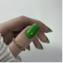 NAILSOFTHEDAY Lets special Green особливий зелений гель лак, що перекривається в один шар, 10 мл