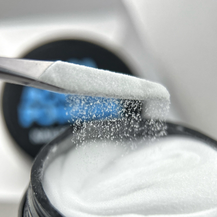 NAILSOFTHEDAY ELSA Acrylic powder clear — прозора акрилова пудра, 10 г