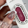 SOLD OUT — NAILSOFTHEDAY Color of the month October 2024 Mulenbergia — колір місяця пильно-рожевий, що перекривається в один шар, 10 мл